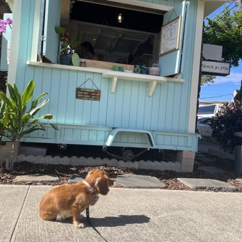 Better Daze - Coffee & Tea Near Me - Honolulu, Hawaii