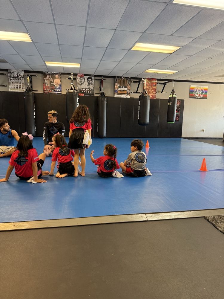 Modern Warrior Martial Arts Academy Logo