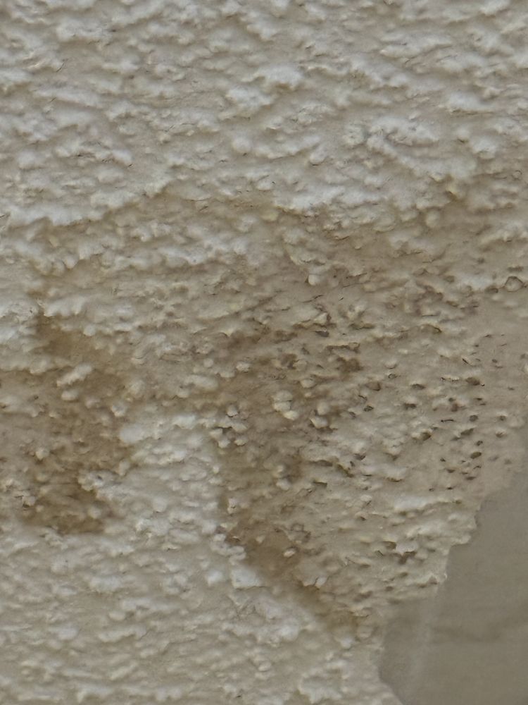 Mold Responders - mold inspector in Miami, FL