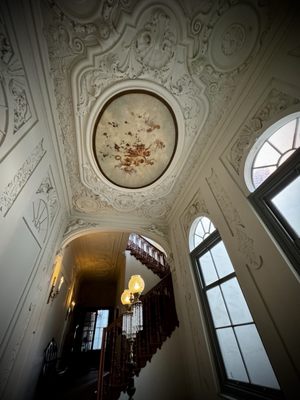 Teylers Museum by null