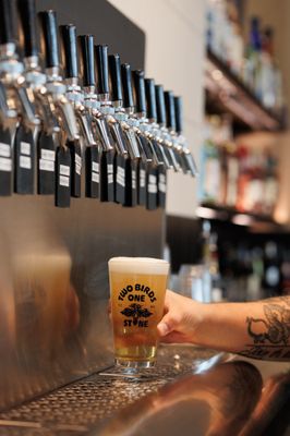 Two Birds One Stone by null