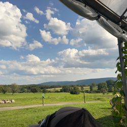 Altamont Orchards - What a view
