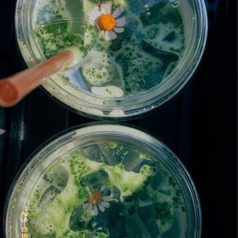 Buena Matcha - Regular matcha drinks one with almond milk & also oatmilk - Tea Rooms Near Me - Palm Desert, California