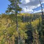 Photo of Abineau-Bear Jaw Loop