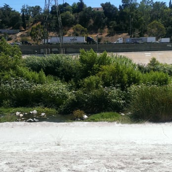LA River Bike Path - So much greenery grows in the LA River along the bike path that is also traveled by walkers, joggers, and canine caretakers. - Parks Near Me