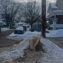 Wiesmann Sons Electric - A small tree removal job we did it in Hamilton