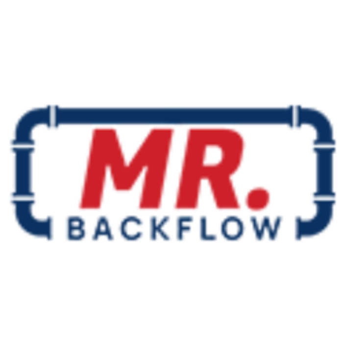 Slide of Mr Backflow