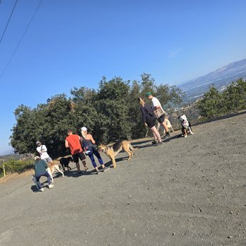 Westridge-Canyonback Wilderness Park - Canis Behavior Nature Dog 3 class on the hike - Hiking Near Me - Encino, California Westridge-Canyonback Wilderness Park - Canis Behavior Nature Dog 3 class on the hike - Hiking Near Me - Encino, California