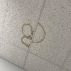 M D Handyman Service - Ceiling tiles