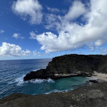 Hawaii Turtle Tours - Tours Near Me - Honolulu, Hawaii
