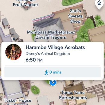 Harambe Village Acrobats - Check this out! - Arts & Entertainment Near Me - Orlando, Florida
