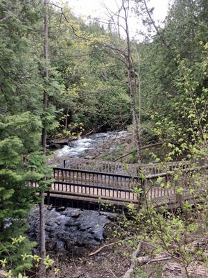 Belfountain Conservation Area by null