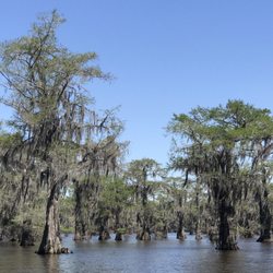 Big Cypress Tours