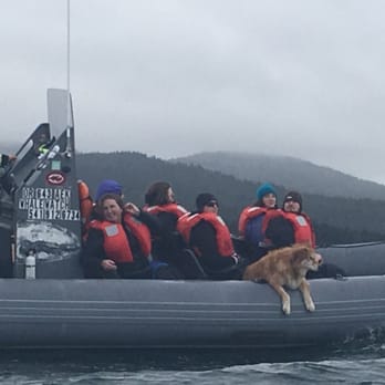 Whale Research Eco Excursions - Carrie's dog loves barking at the sea lions and whales :) - Museums Near Me - Depoe Bay, Oregon Whale Research Eco Excursions - Carrie's dog loves barking at the sea lions and whales :) - Museums Near Me - Depoe Bay, Oregon