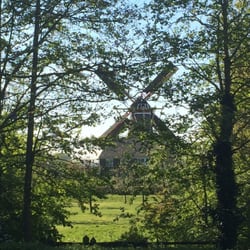 De Onderneming - Door de bomen bij de dijk heen, de wieken draaien met vlaggen er aan!
