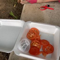 Tomato Tomato