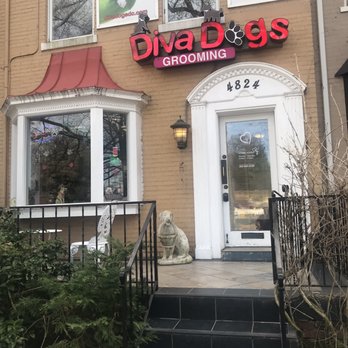 Diva Dogs Grooming - Pet Groomers Near Me - Washington, DC, District of Columbia Diva Dogs Grooming - Pet Groomers Near Me - Washington, DC, District of Columbia