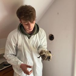 PinPoint Pest Control