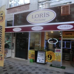 Loris
