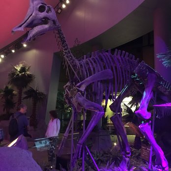 The Children's Museum - Dinosphere - Children's Museums Near Me - Indianapolis, Indiana The Children's Museum - Dinosphere - Children's Museums Near Me - Indianapolis, Indiana