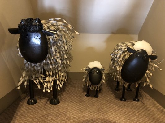 Lambs by null