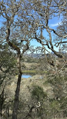 Trione-Annadel State Park by null