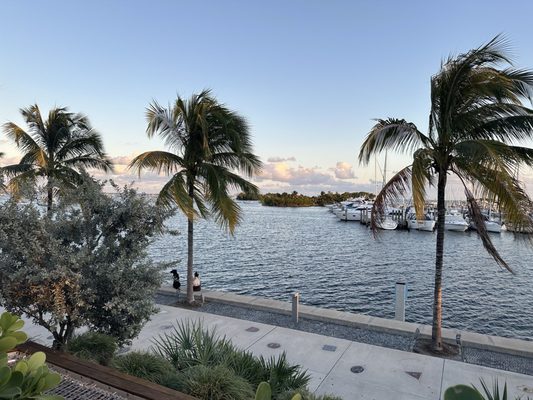 Regatta Grove by null