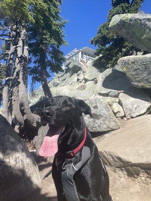 Mount Pilchuck Trailhead by null