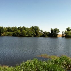 Mayors Fishing Hole