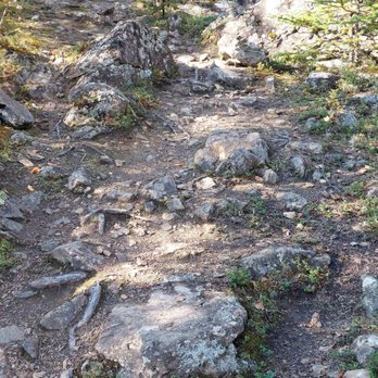 Eagle River Nature Center - Rocky trail - Hiking Near Me - Eagle River, Alaska