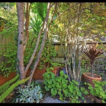 Carrisalinc General Contractor - Yard - Landscaping Near Me - Richmond, California Carrisalinc General Contractor - Yard - Landscaping Near Me - Richmond, California