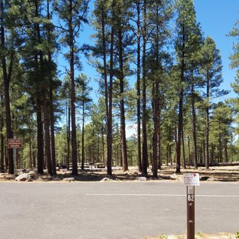 Kaibab Lake Campground - Group site 62 - Campgrounds Near Me - Williams, Arizona