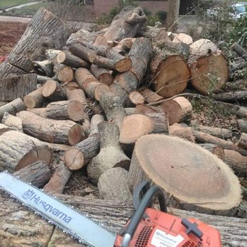 Ferguson Tree Service - Tree Services Near Me Ferguson Tree Service - Tree Services Near Me