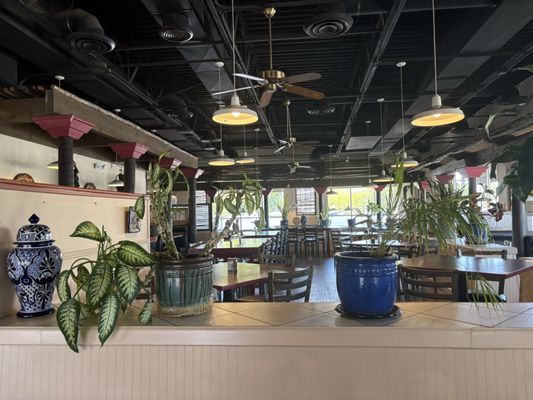 Serrano's Mexican Food Restaurants by null