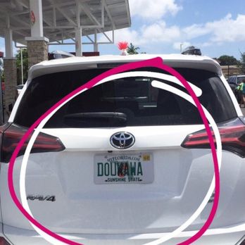 Wawa - Crazy fans - Gas Stations Near Me - Davie, Florida Wawa - Crazy fans - Gas Stations Near Me - Davie, Florida