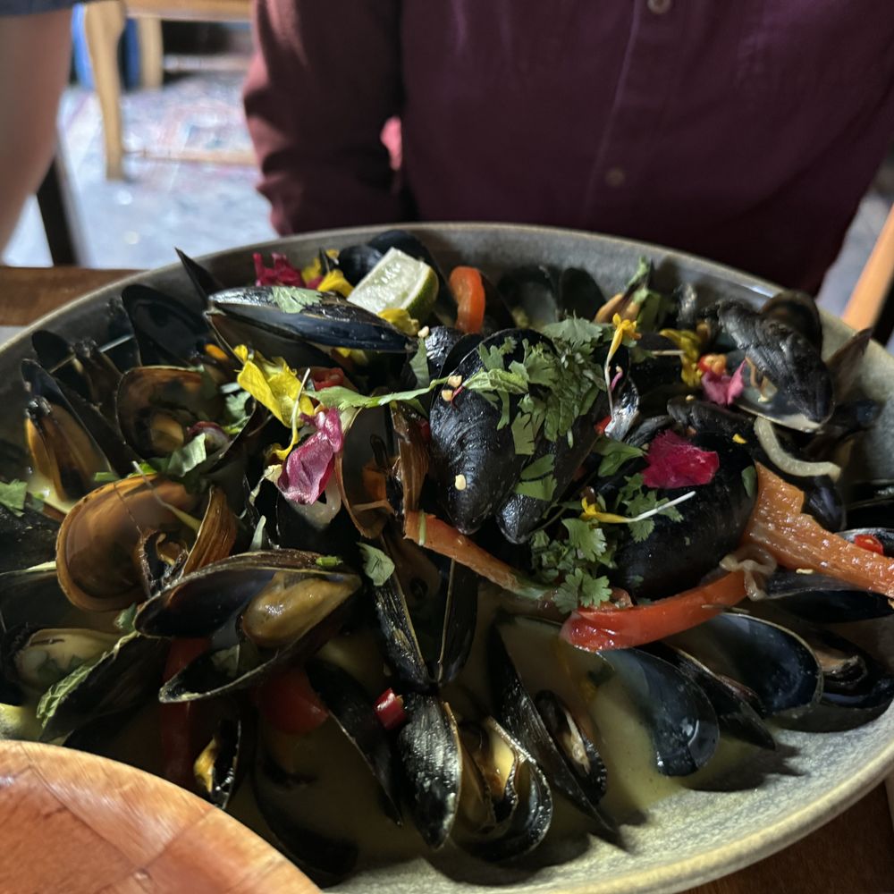 The Red Accordion - Curry Mussels - Cocktail Bars Near Me - Vancouver, British Columbia The Red Accordion - Curry Mussels - Cocktail Bars Near Me - Vancouver, British Columbia