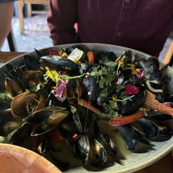 The Red Accordion - Curry Mussels