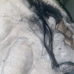 WashCo Laundry - All burnt up and tore apart. Originally cream color
