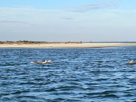 Charleston Outdoor Adventures by null