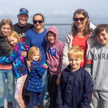 Dolphin Watch Cruises Jervis Bay - Boat Charters Near Me - Huskisson, NSW
