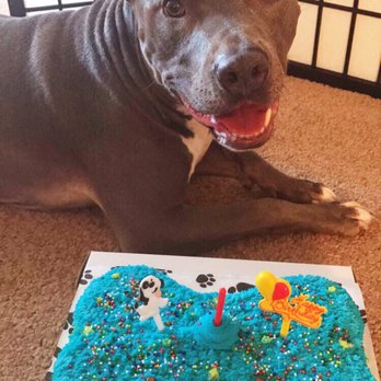 PJ's Pet Cafe - My baby Samson loved his birthday cake! - Pet Stores Near Me - Long Beach, California PJ's Pet Cafe - My baby Samson loved his birthday cake! - Pet Stores Near Me - Long Beach, California