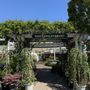 Photo of West End Nursery