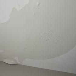 Shilo Inns Killeen - Water damage/mold