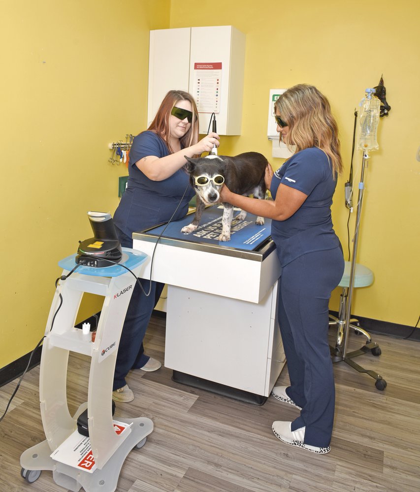 DAWSON FOREST ANIMAL HOSPITAL Updated October 2024 33 Photos 2399