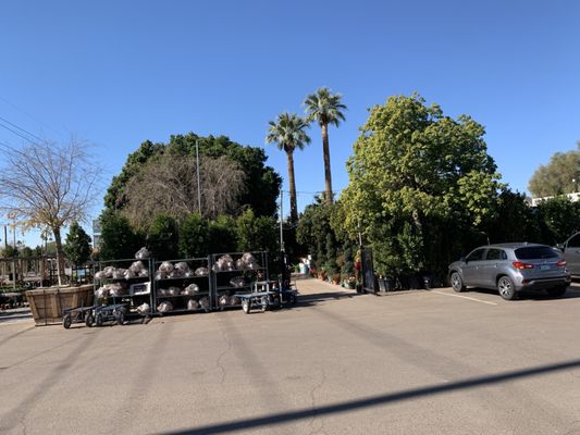 Whitfill Nursery by null