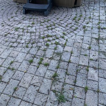 Build Rite Pro - Weeds growing within the cobblestone spaces that BAWA claims to have filled with polymeric sand and sealer. - General Contractors Near Me