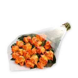 Colonnades Florist
