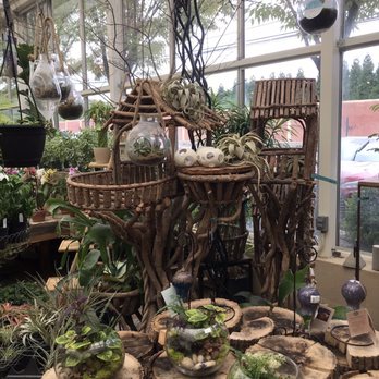 The Rhoads Garden - Amazing selection of plants! - Florists Near Me - North Wales, Pennsylvania The Rhoads Garden - Amazing selection of plants! - Florists Near Me - North Wales, Pennsylvania