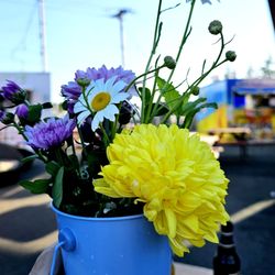 Taste of Ukraine - Delightful Place & Owner