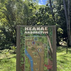 Ke'anae Arboretum
